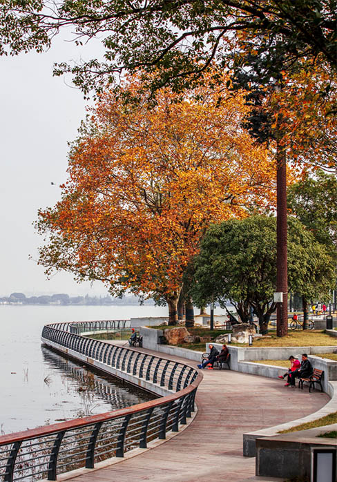  Wuhan East Lake Green Road Mt. Mt. Shan Park section 